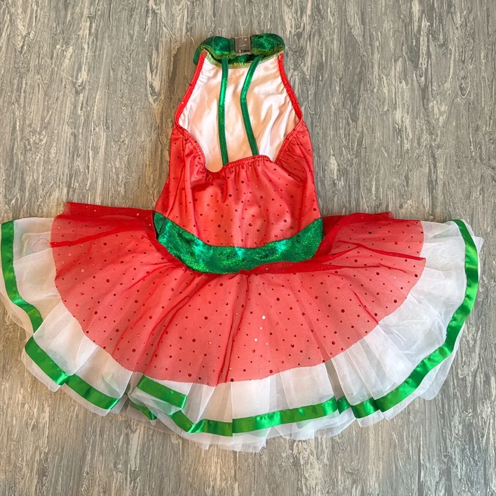Cicci Dance Costume Leotard Tutu Ballet